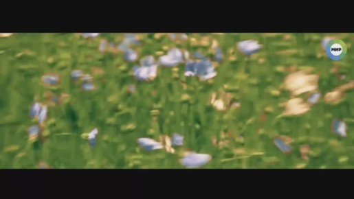 Рекомендуем Вам белорусский канал - МИР