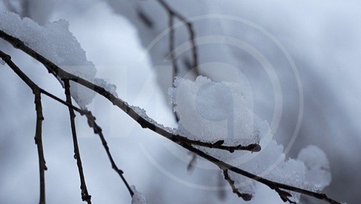 ������ ��������: � �������� ������� ���������� �� -24 ��������