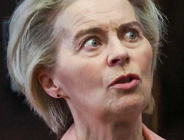 Урсула фон дер Ляйен обиделась на критику Зеленского в адрес ЕС