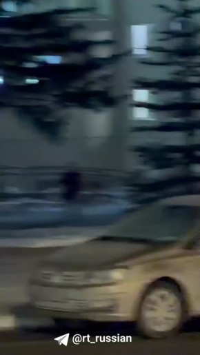 В Самаре слон сбежал из цирка и прогулялся по городу