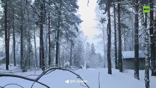 Сын красноярского бизнесмена, за которого требовали выкуп, скрывался в арендованной квартире по указаниям мошенников