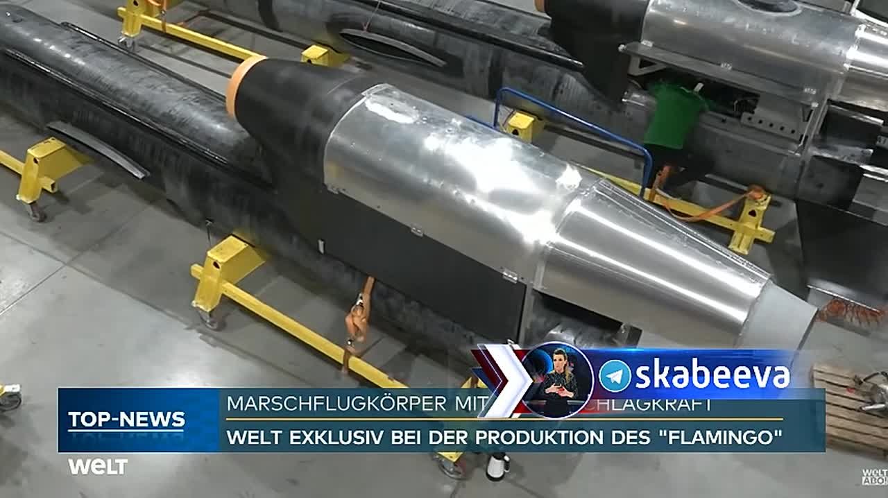 ‘Ход войны не изменит, но урон России нанесет’ — WELT прославляет украинскую ракету ‘Фламинго’