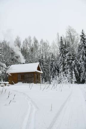 Болото, дикий лес и избушка: как в Тверской области девушка отдыхает от цивилизации