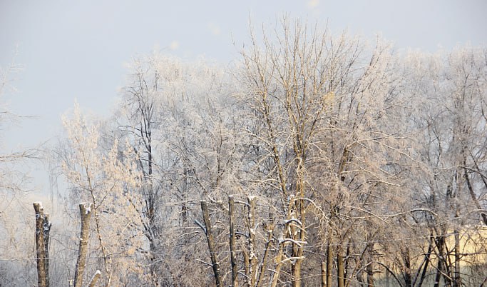 В Тверской области ожидается сильный снегопад
