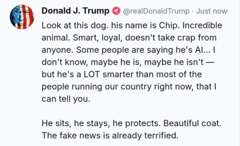 ��������� ����������: � ������� ������� ��� ��, ��� ����� ������ �������?