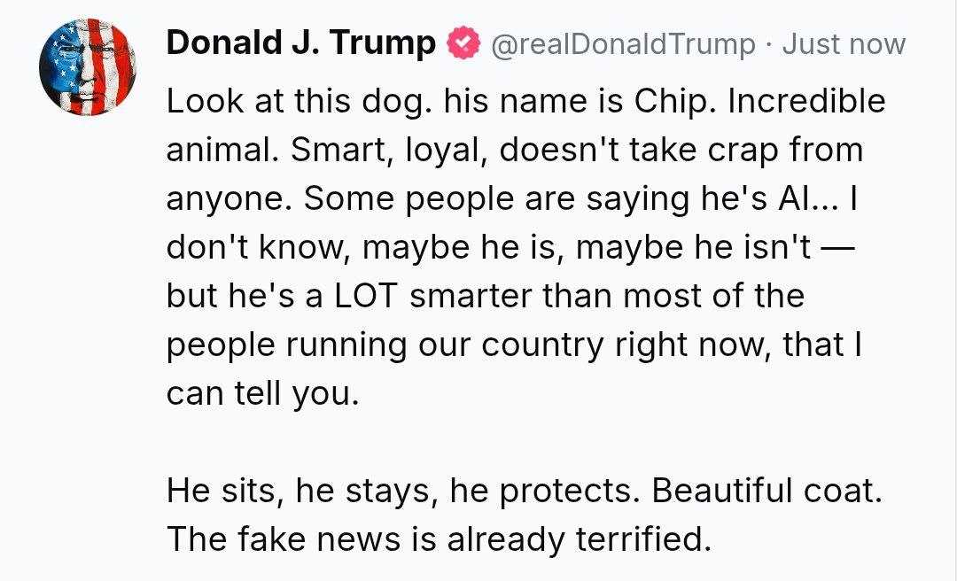 Александр Сосновский: А помните анекдот про то, как звали собаку Рейгана?