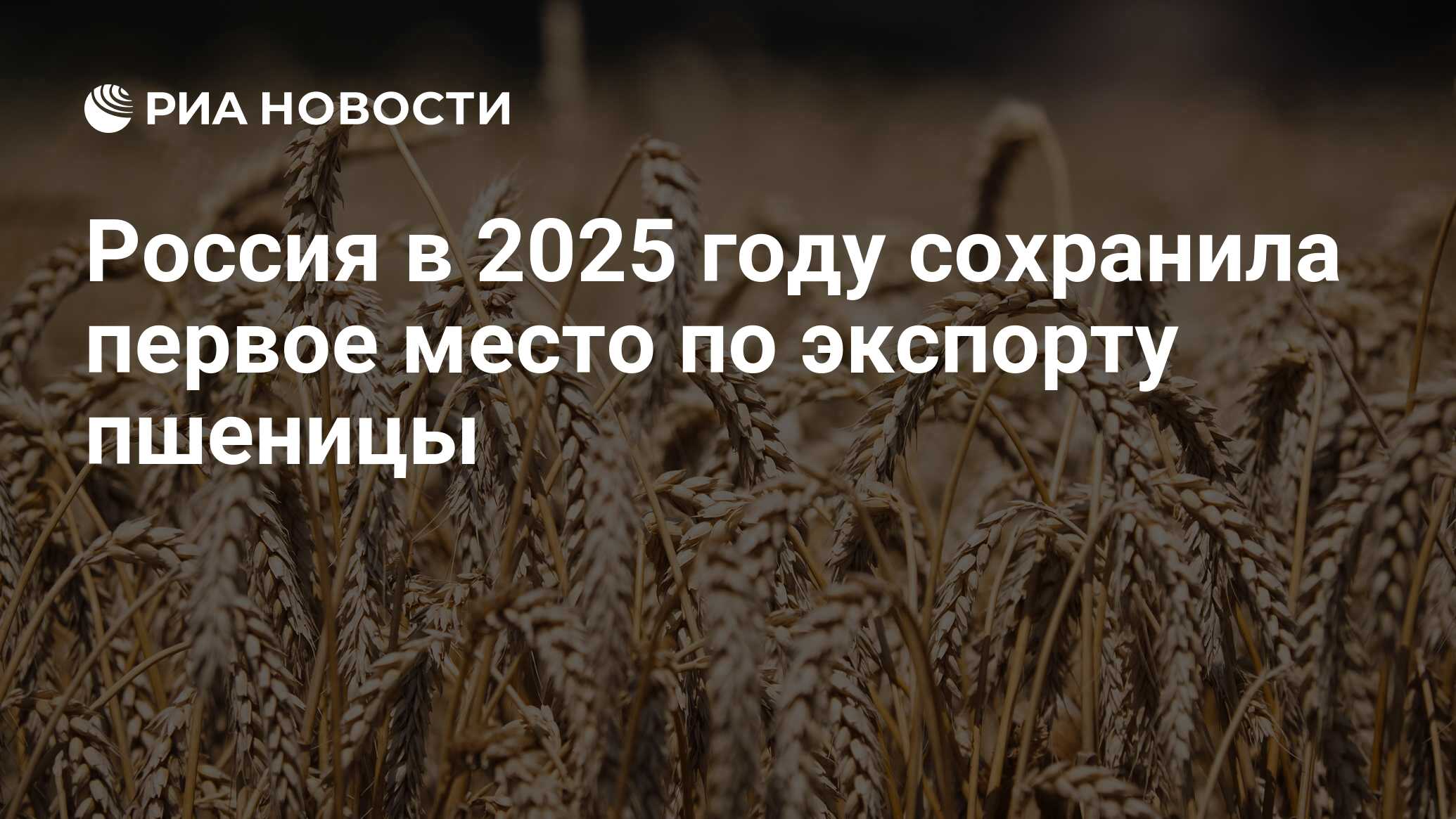 Евгений Попов: Россия — экспортер пшеницы №1 в мире по итогам 2025 года