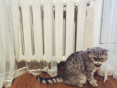 В некоторых домах центра Твери временно остынут батареи