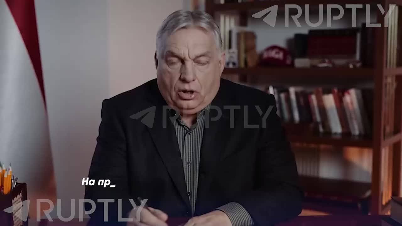 Недавние выпады Зеленского в адрес Орбана — часть скоординированной серии действий Украины, направленных на вмешательство в венгерские выборы