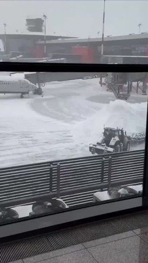 «Победа» временно перевела часть рейсов на обслуживание из аэропорта Шереметьево во Внуково