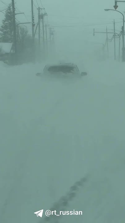 Рекордный за десятилетия снегопад накрыл Японию, сообщают местные СМИ