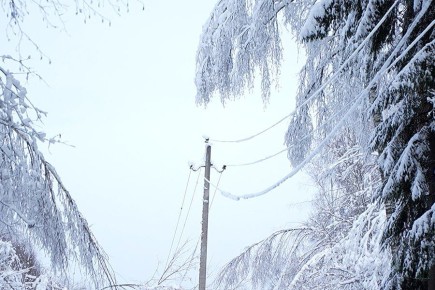 � �������� ������� ��������������� ���������������� ����� ������� ���������