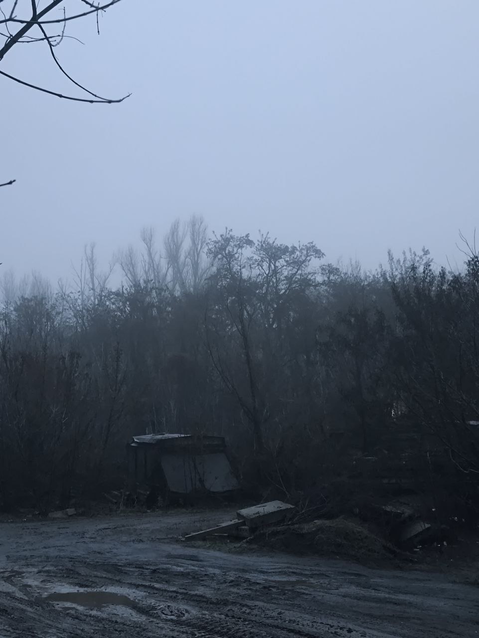 ВЕТКА ПАЛЕСТИНЫ. Западный берег Днепра и реки Иордан