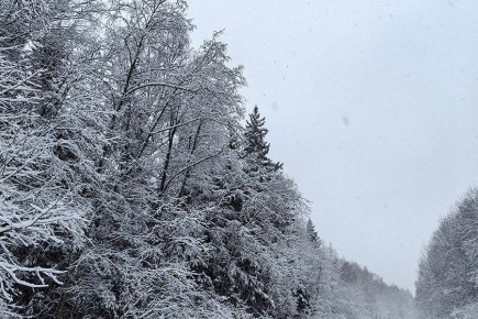 � �������� ������� �� ���� ������ �������� �������� ����� �������