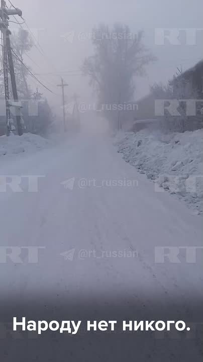 «Ни птичек, ни людей, потому что все-все сидят по домам»