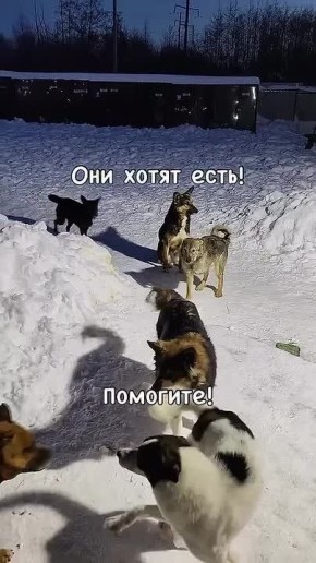 ��������� ����������: ���� ���� = ���� ����� ������