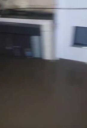 ���� ��������� �� ������ ����� �����, ��������� ������� �����������