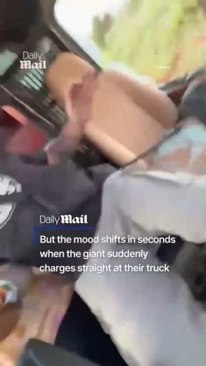 ���� � ������� ����� �� ������ ������, ������ ���������� ��������, � ��������