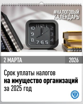 ������������ ������ ���� ������ ������� �� ��������� ����������� �� 2025 ���