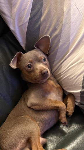 ��������� ����������: ������ ����. �� ��� ���������� �������� ���� �� ������ #���������������� #������