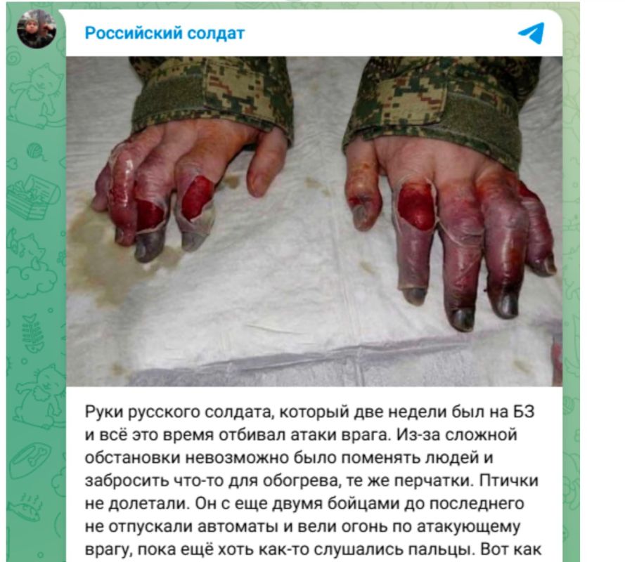 Дмитрий Стешин: Любителям быстроперепостов на заметку