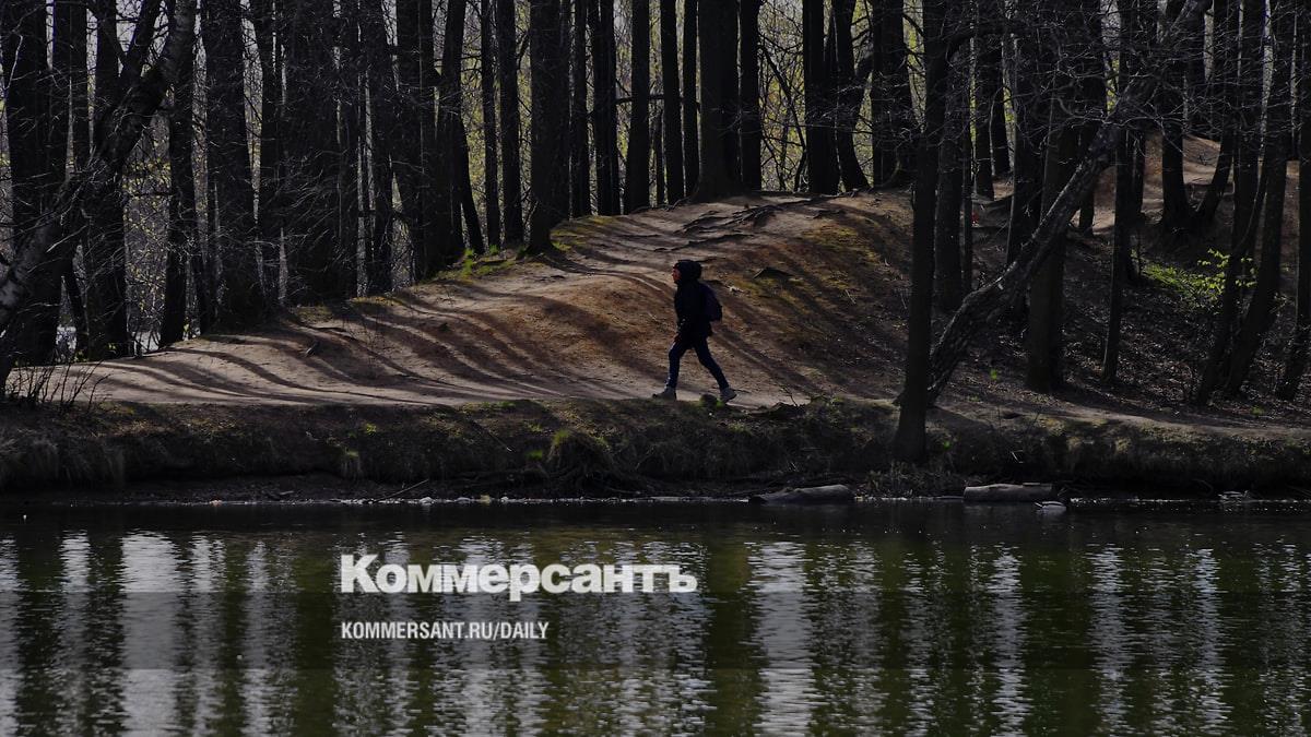 Евгений Попов: Рубить деревья ради биотуалета в ЛЕСУ и правда вредная затея