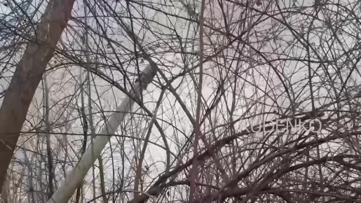 ������ �������: ������ ��� ��������-ѻ ����������� ����� ������ ��������� ������ �-30 � ����������� ������� ��� � ������ �������� �� ������ ������ ������ � ���������� �������