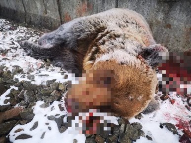 ����� �������� ���� ������� � ��������