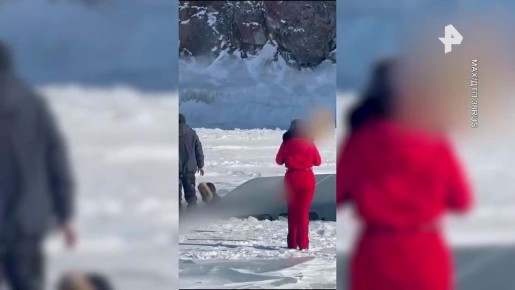 �����, ��� ������� "�������" � ����������� �� �������, ��������� � ��������