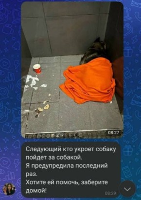 "� �� ������� �� ������ �� �� ���": ������ �������� ��������� ��� �� � �������� � ����������� ����� ����, ��� �� ����� ������ ��������� ������ ����� ��������� � ����������