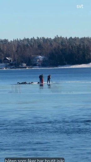 � ������ �����: �������� ������� ���������� ������� �������� �����, ����� ���� �� �������� ������� � ������� ����� � ������