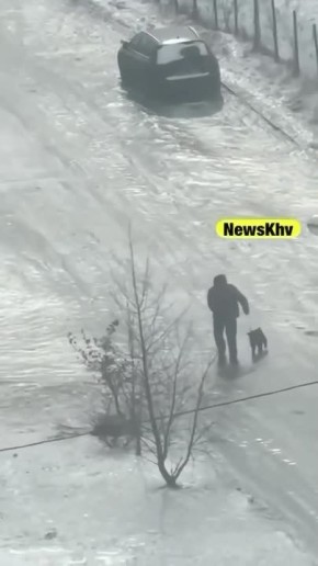 �������� � ������: ������, ������� � ���� ���������