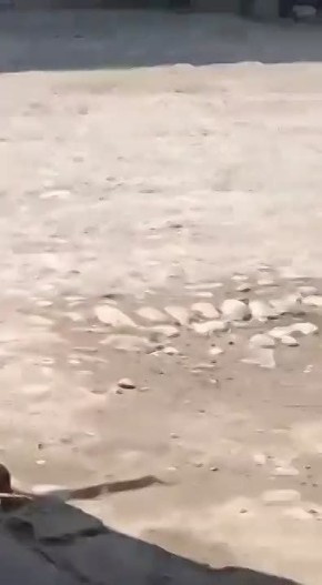 ������ ���������: ��� � �������: ������ ��������� �������� �������� CJNG �� �������!