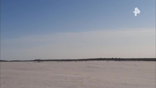 ����� ���������� ������� ������� ����� ���� ���� ����� �� ��������