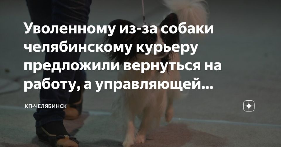 ��������� ����������: ����� ������������ ������� �� ����� ������� ������� �������������