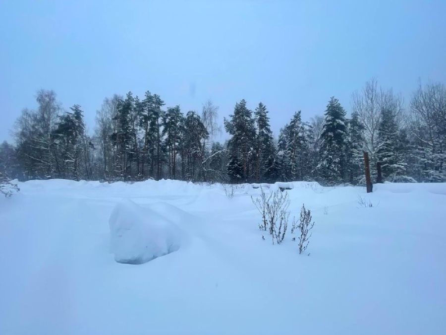 Белым-бело: где в Тверской области самые высокие сугробы