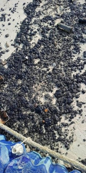 �� ���������� ������ ������� �������� ����� � ����������� �����