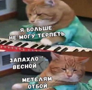 Метеорологическая весна в Москве наступит во второй половине марта