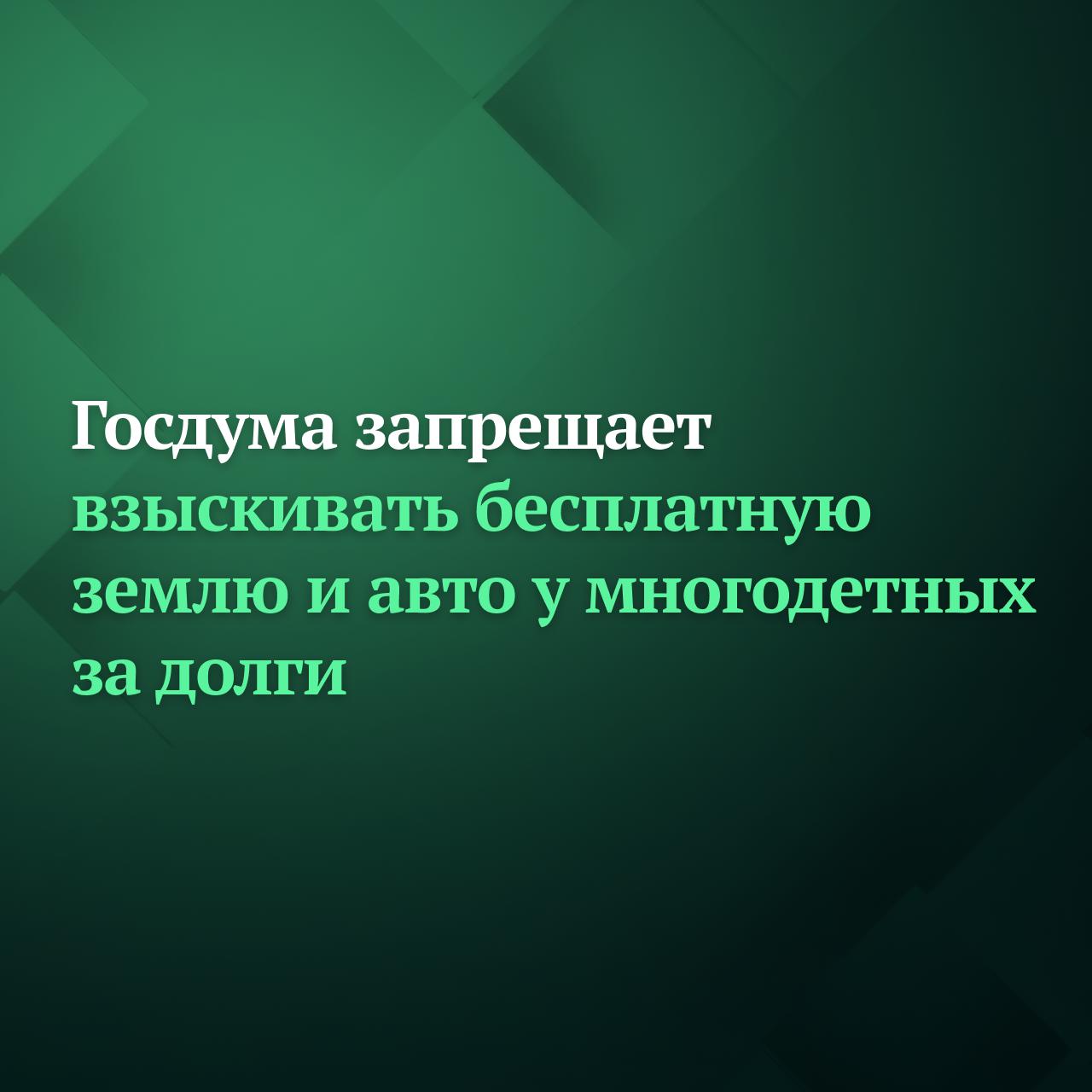 Госдума на пленарном заседании 26 февраля приняла во втором чтении правительственный законопроект о запрете взыскивать бесплатную землю и единственный автомобиль у многодетных за долги