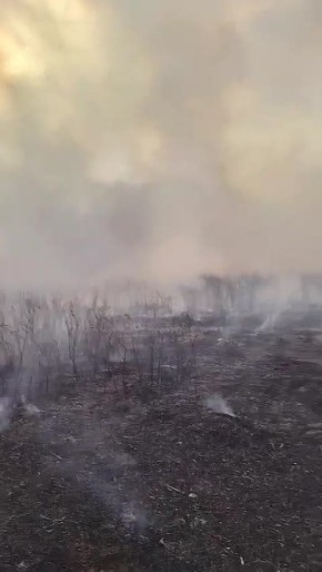 ������� ��������� ����� �� 4,9 ���