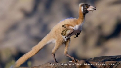 Скелет динозавра размером с ворону обнаружили в Аргентине