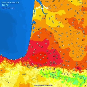 ������ ���������: ������������� ������. ����� � ������� ������������� �������� �� ���-������ ������� ��� ������������ ���������� ������ ����������� �� �� ����� ���������� (��� ����)