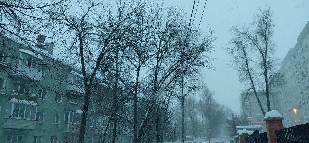 Тверь заметает очередной снегопад: тверичане поделились фото, видео непогоды Тверь заметает очередной снегопад: тверичане поделились фото, видео непогоды