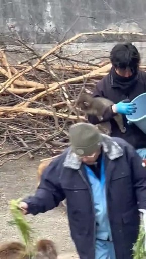 ����� ��� ������ � ��� �������� �������: ������ ���� ���� ������� �� ������� ��� � �������� ��������