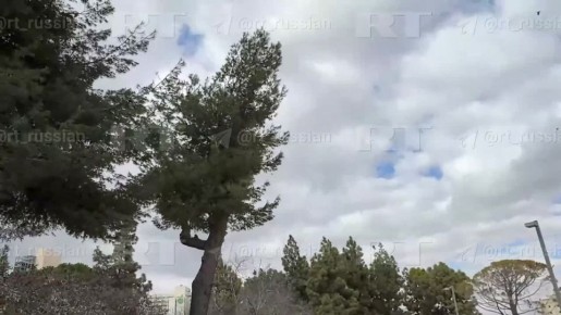 � ���������� ������������� �������� ������