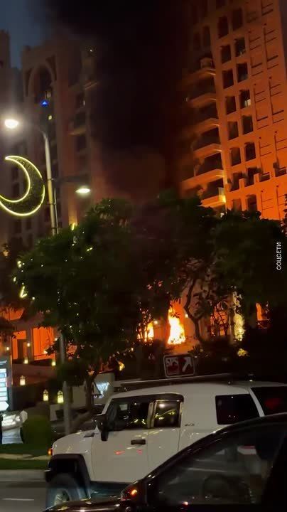 � ����� ������� �������� ������ ����� � ����� ������ ����� � �������������� ������ Fairmont The Palm, ������� �����