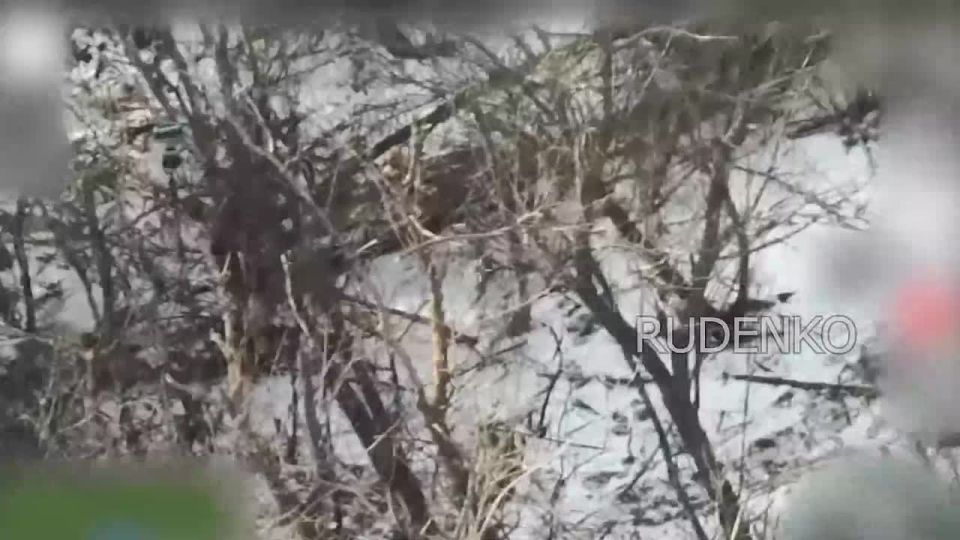 ������ �������: ������� ����� ����������� ������ � ������� 5-� ����������� ������� ��� ������ ���������� ������������ ��� ���������� ���� ��� �� ��������������� �����������