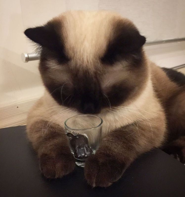 ������� ������: ������� �� ������������ � ����-����� ��������: