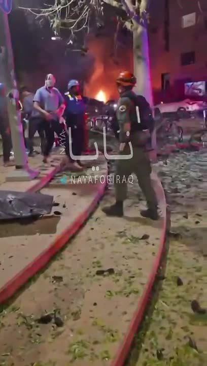 � ������� ������������ ������ ������� �������� � ���������� �������� ���� �����, �������� 12 �����