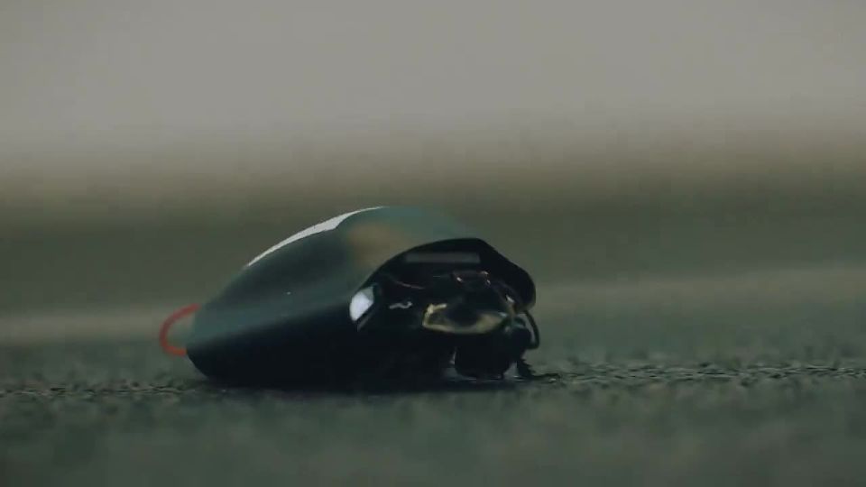 ������ ���������: � �������� ����������� ����� ������ � �������������� ���������